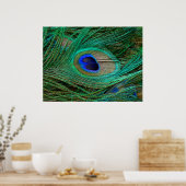 Indian Blue Peacock Feather Poster Print (Cuisine)