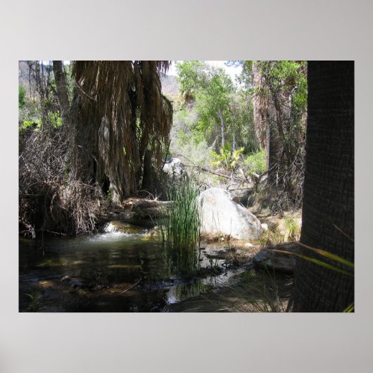 Indian Canyon (2) Poster (Voorkant)