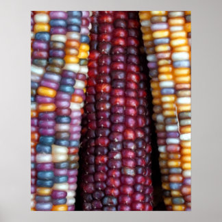 Indian Corn Print van Kim Rowlett