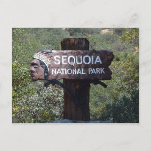 "Indian Head" Sequoia National Park teken Briefkaart