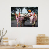 Indian Man Print, Value Poster Paper (Matte) (Cuisine)