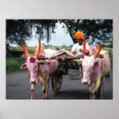 Indian Man Print, Value Poster Paper (Matte) (Devant)