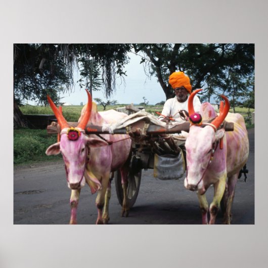 Indian Man Print, Value Poster Paper (Matte) (Devant)