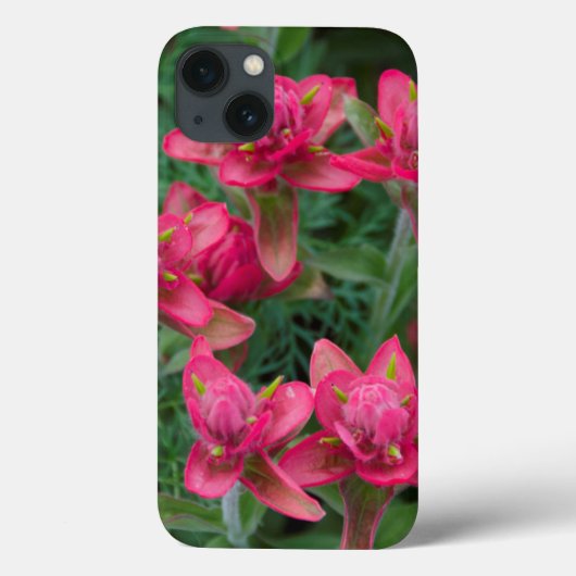 Indian Paintbrush Case-Mate iPhone Case (Achterkant)