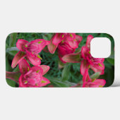 Indian Paintbrush Case-Mate iPhone Case (Achterkant (horizontaal))