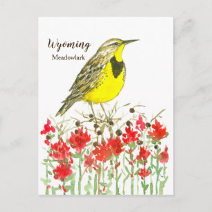 Indian Paintbrush Meadowlark State Bird of Wyoming Briefkaart