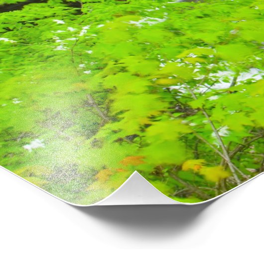 Indian Run Herfsten, Dublin, Ohio Foto Afdruk (Hoek)