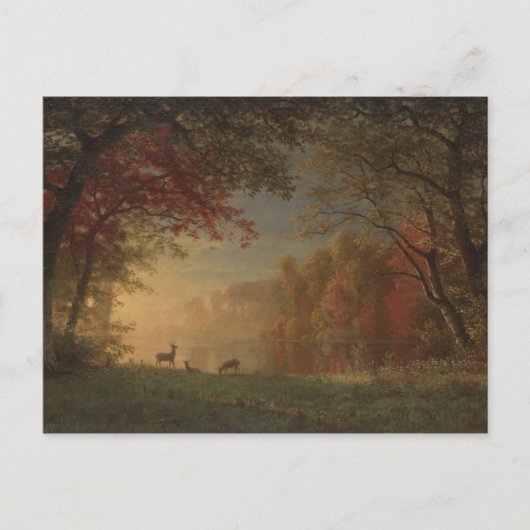 Indian Sunset Deer bij een meer Briefkaart (Voorkant)