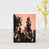 Indian Valley brand.... Kaart (Gele Bloem)