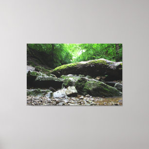 Indian Village Canyon, Columbus, Ohio Canvas Afdruk