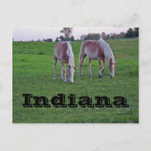Indiana Briefkaart