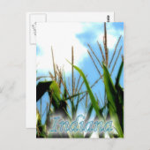 Indiana Corn Briefkaart (Voorkant / Achterkant)