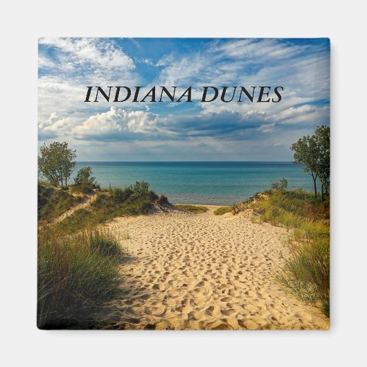 Indiana Dunes, Lake Michigan Magneet (Voorkant)