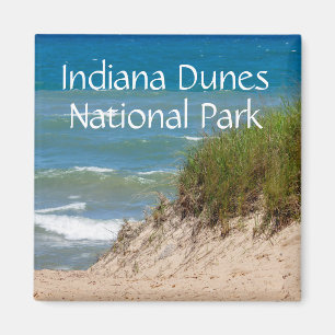 Indiana Dunes Nationaal Park Souvenir Magneet