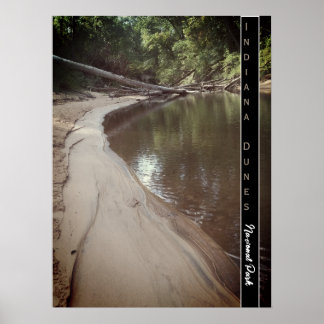 Indiana Dunes National Park Schilderachtig Creek F Poster