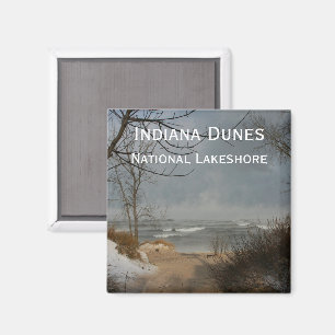 Indiana Dunes, oever, bewolkt, winter Magneet