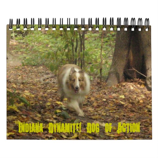 Indiana Dynamite ! Calendrier des chiens d'action (Protection)