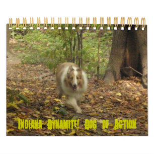 Indiana Dynamite. Dog of Action Calendar Kalender