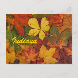 Indiana Herfstbladeren Ansichtkaart Briefkaart