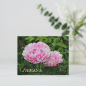 Indiana State Flower: Peony Briefkaart (Staand voorkant)
