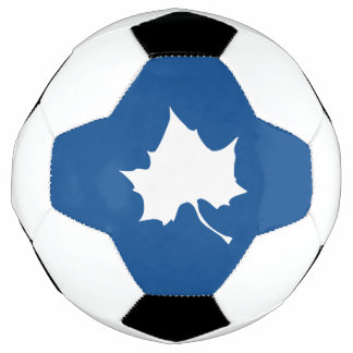 Indiana State Leaf Voetbal