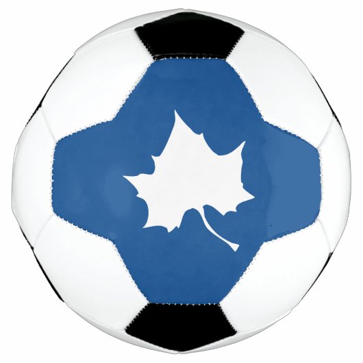 Indiana State Leaf Voetbal (Voorkant)