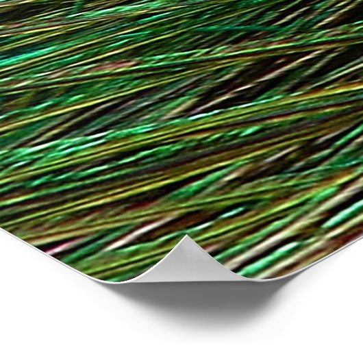 Indianenblauw Poster met peacock (Hoek)