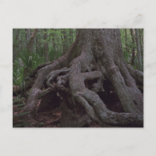 Indiase bos artefact aangepaste Louisiana ansichtk Briefkaart