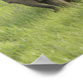 Indiase Elephant familie komt uit Poster (Hoek)