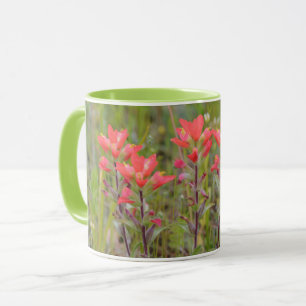 Indiase Paintbrush Wildflowers Meadow Art Mok Cup