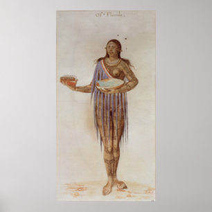 Indiase vrouw uit Florida Poster