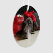 Indicateur aux cheveux courts allemand de Noël (devant)