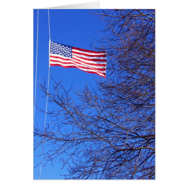 indicateur demi-mât (Devant)