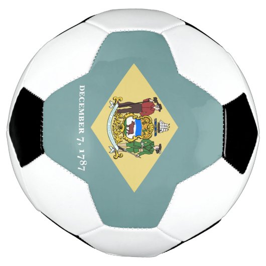 Indicateur d'état du Delaware (Tourné)