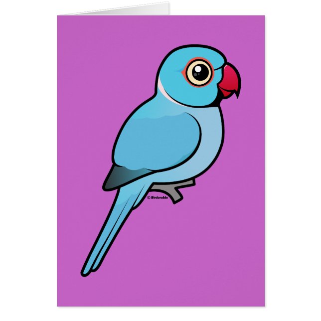 Indien bleu Ringneck (Devant)