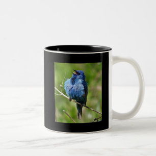 Indigo Bunting 1, Hot All Bird Action www.Birdch.. Tweekleurige Koffiemok
