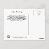 indigo bunting briefkaart (Achterkant)