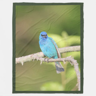 Indigo Bunting Fleece Deken