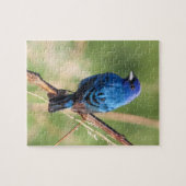 Indigo Bunting Legpuzzel (Horizontaal)