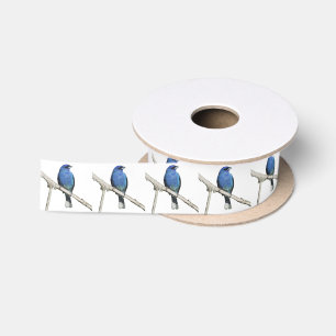 Indigo Bunting Lint