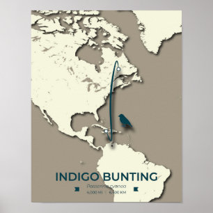 Indigo Bunting Migration Map – Minimalistische Vin Poster