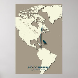 Indigo Bunting Migration Map – Minimalistische Vin Poster