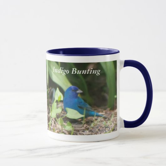 Indigo Bunting Mok (Rechts)