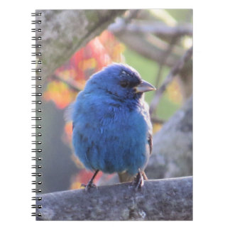 Indigo Bunting Notitieboek