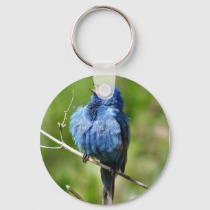 Indigo Bunting Sleutelhanger