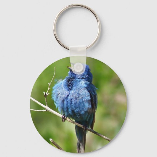 Indigo Bunting Sleutelhanger (Voorkant)