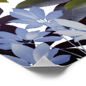 Indigo Feuille, affiche Plante (Coin)