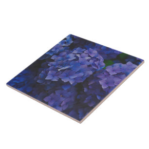 Indigo Hortensia Schemer Decoratieve Keramische Te Tegeltje