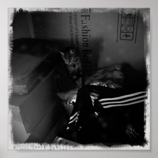 Indigo Moving Helper Poster (Voorkant)