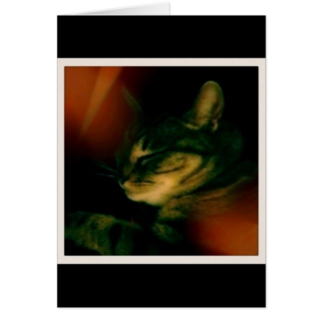 Indigo Naptime Closeup (Voorkant)